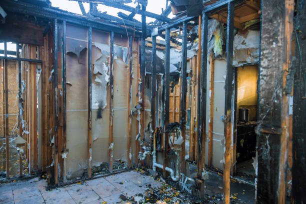 Professional Fire Damage Repair technician working in Wyoming, MN