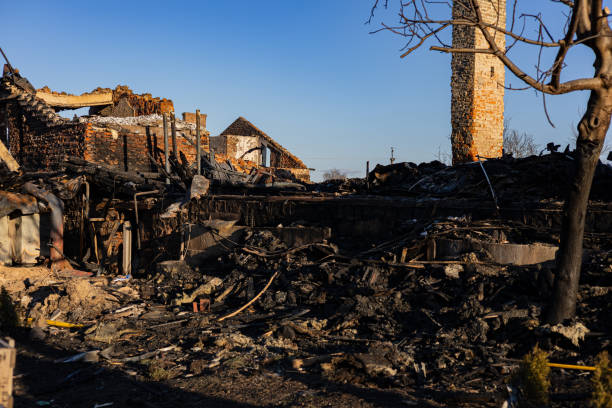 Reliable Fire Damage Repair contractor in Wyoming, MN by Fire Damage Doption